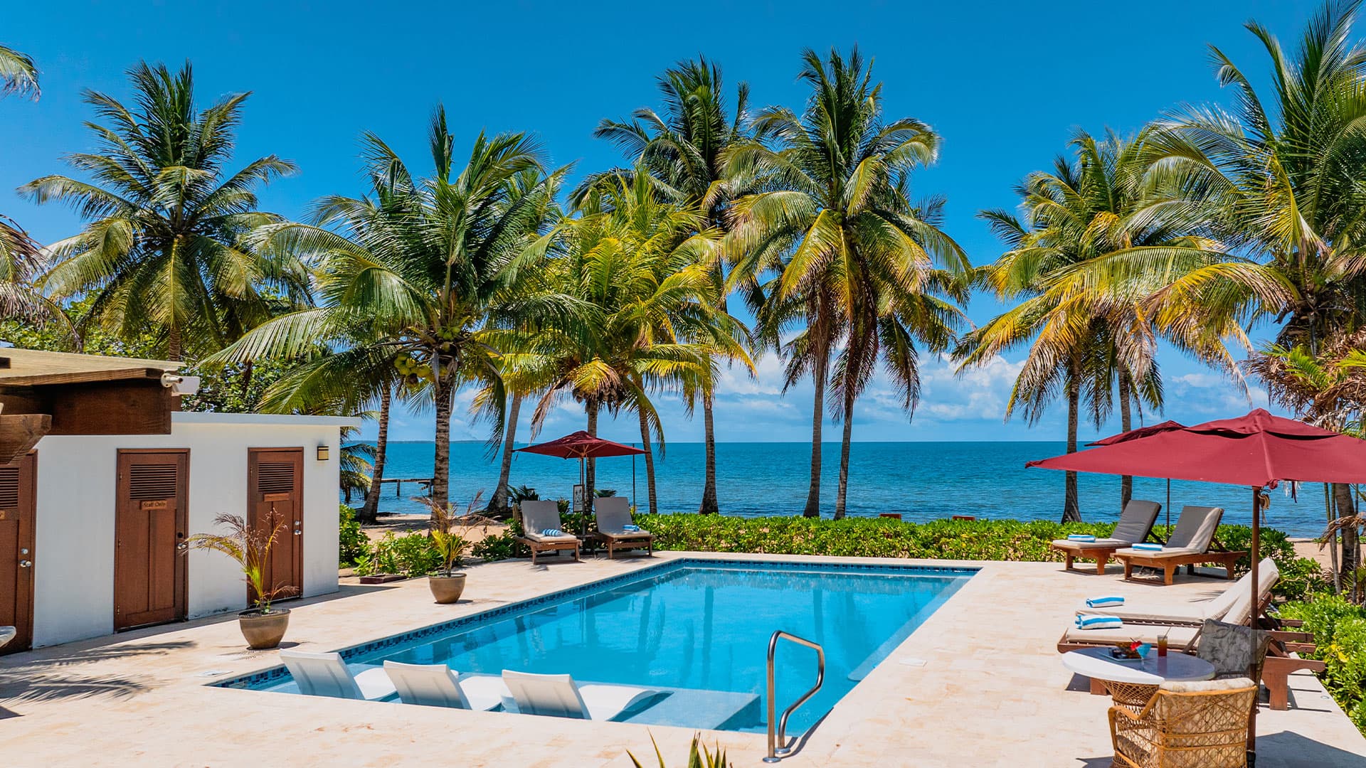 A luxurious poolside view surrounded by palm trees and ocean.