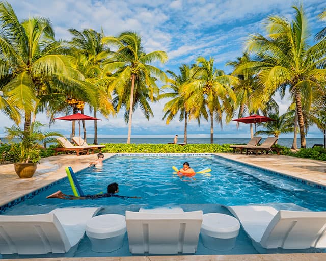 A tropical pool scene with palm trees, loungers, and people enjoying the water under a blue sky.