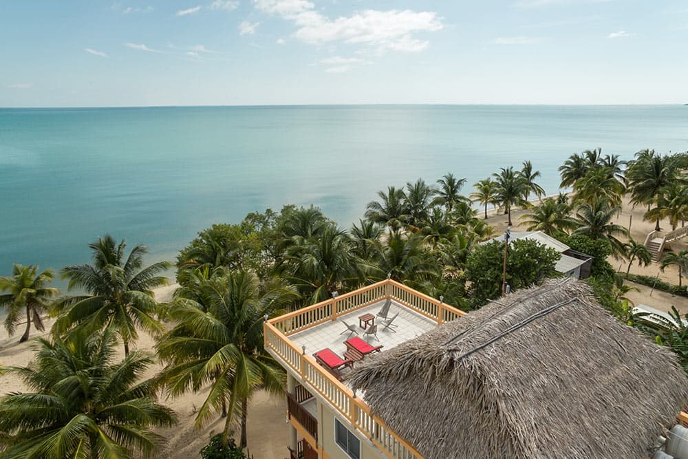 Aerial view of a tropical beach with palm trees and a serene ocean.